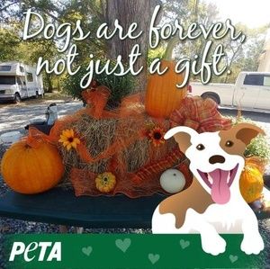 Meet your Posher, Tammy dee